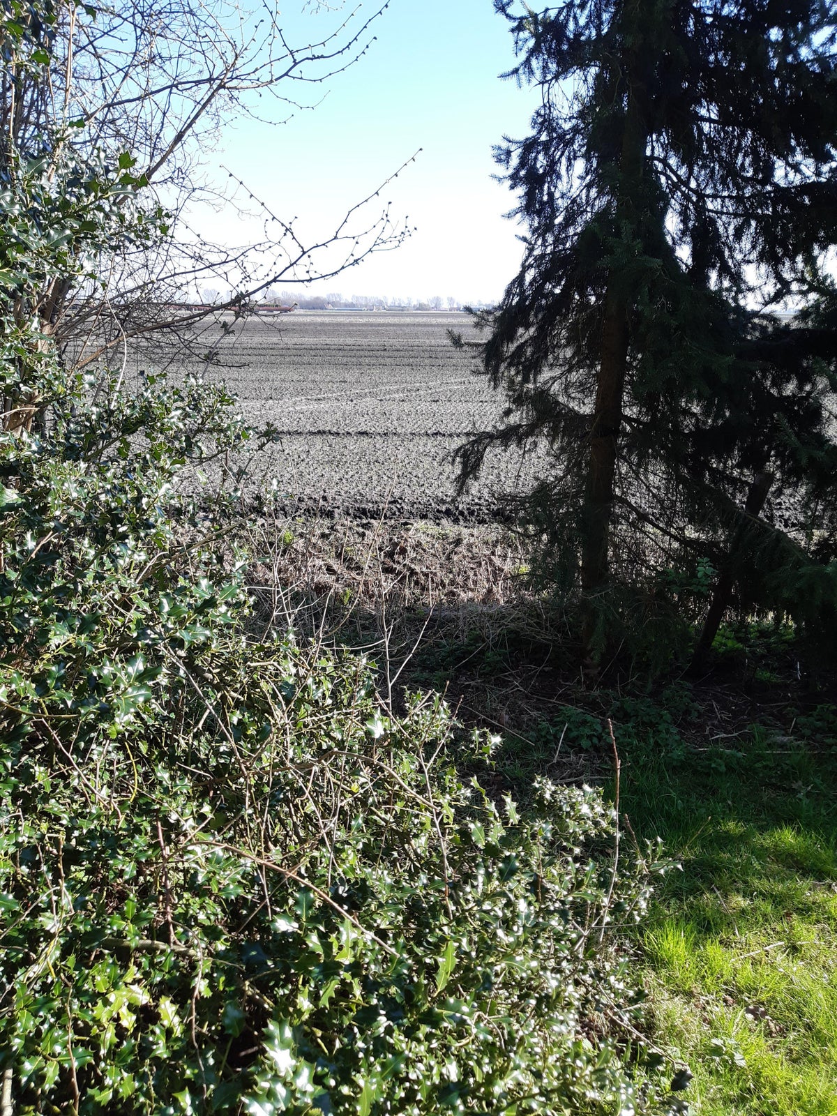 Exloërveen – studio – Exloërveen | 1000.00 EUR