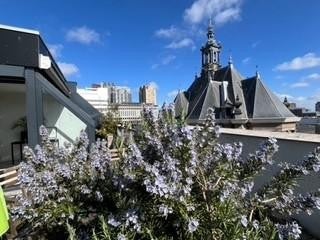 Gedempte Gracht – appartement – Den Haag