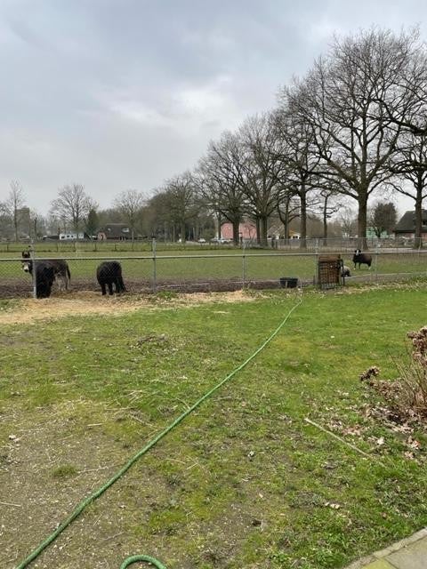 Grintweg – huis – Wageningen