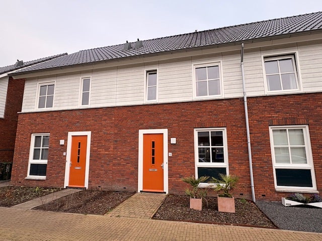 Knelisroos – huis – Gemert