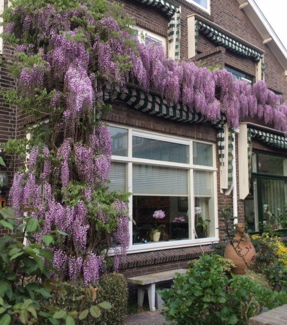 Laan van Sevenstar – huis – Voorburg