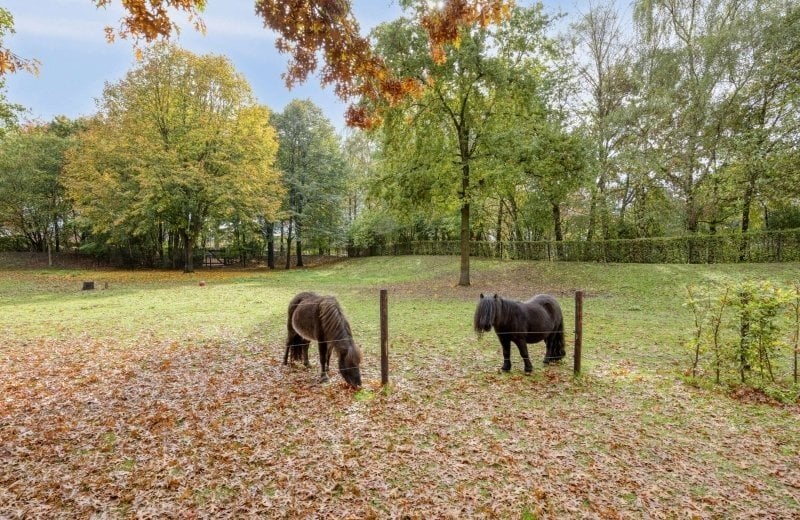 Woning aan de Oudvensestraat te Mierlo | 2000.00EUR PM