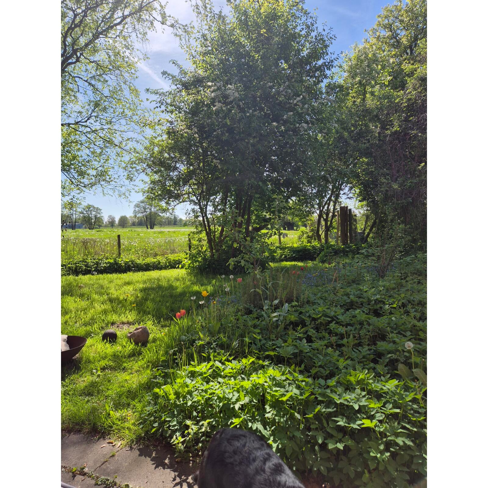 Woning aan de Zutphensestraat te Brummen | 550.00EUR PM