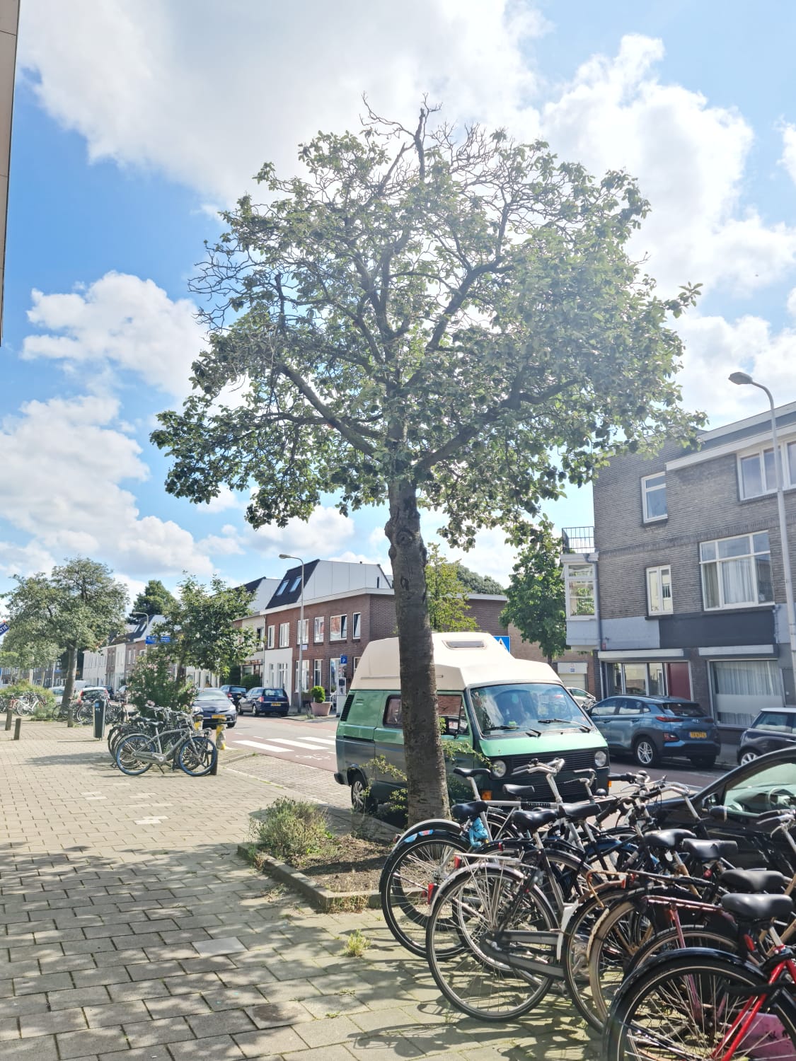 Laan van Nieuw-Guinea – studio – Utrecht | 995.00 EUR