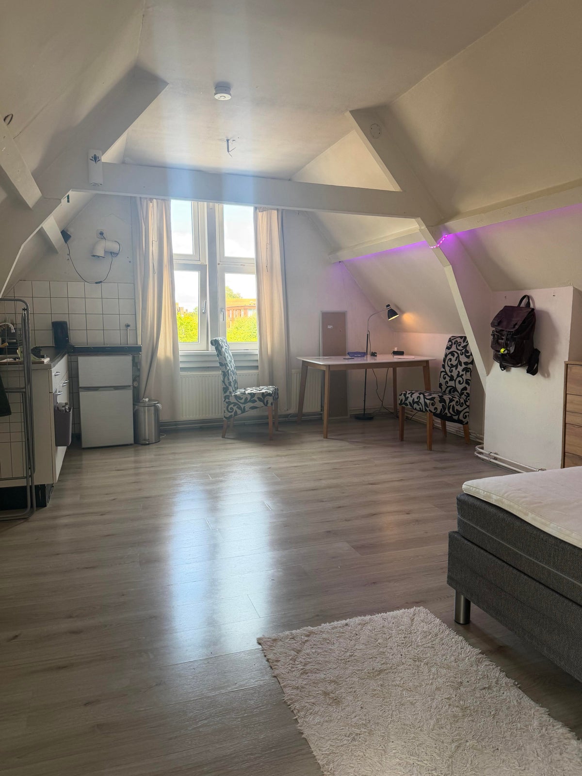 Schiedamseweg – studio – Rotterdam | 575.00 EUR