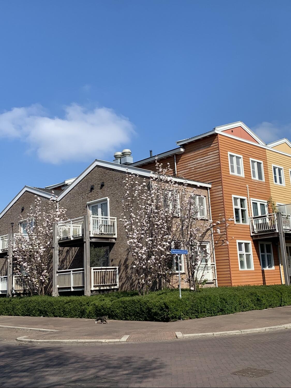 Woning aan de Mattenbiesstraat te Rotterdam | 2495.00 EUR