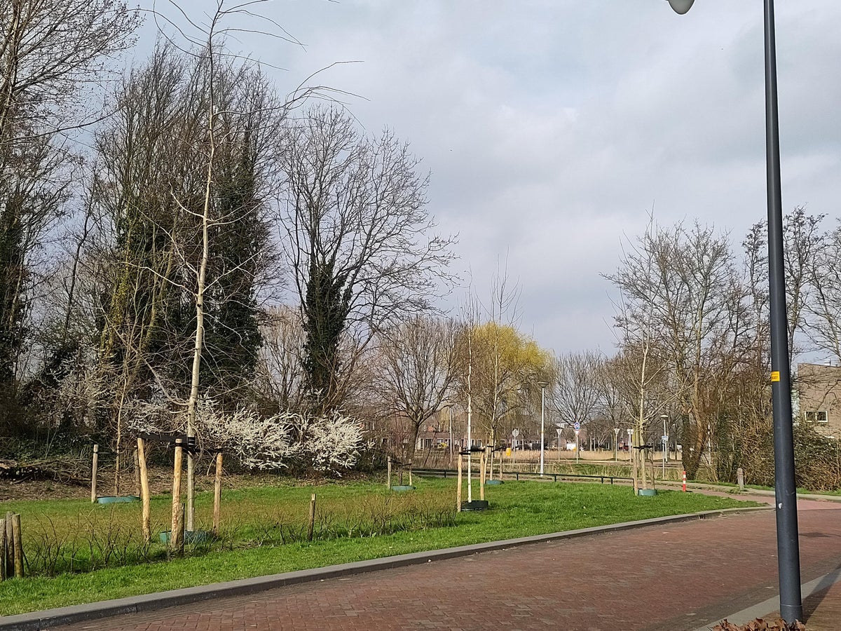 Koningin Maximalaan – huis – Hoofddorp | 2490.00 EUR