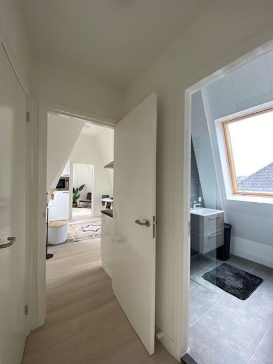 Schoterstraat – appartement – Haarlem | 1650.00 EUR