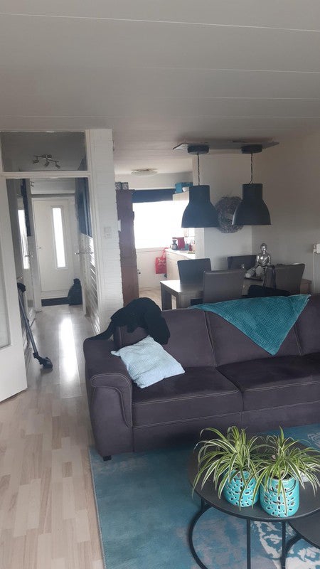 Bellatrixstraat – appartement – IJmuiden | 756.00 EUR