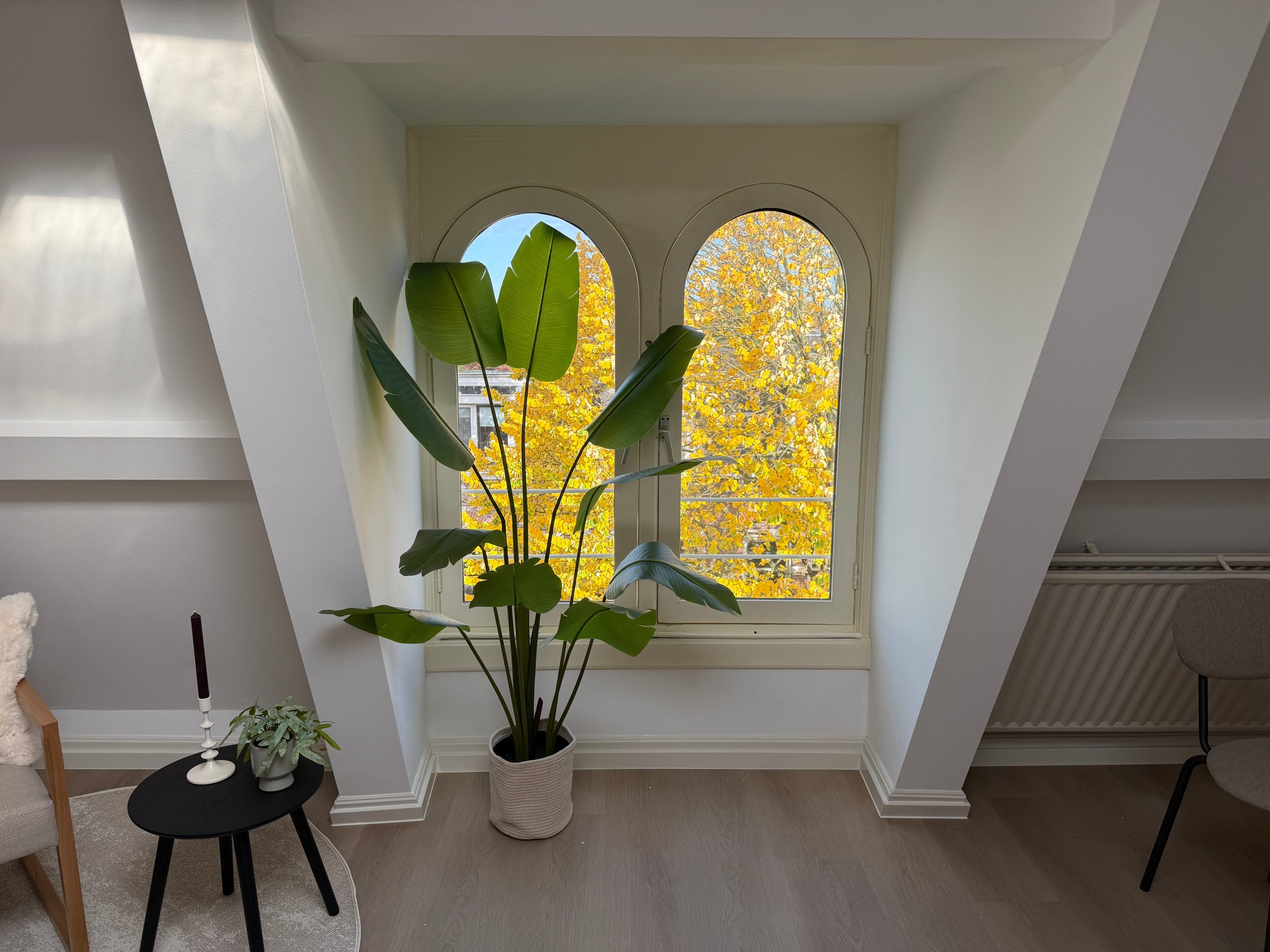 Woning aan de Burgemeester Reigerstraat te Utrecht | 875.00 EUR